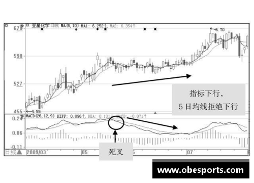 排球场上的位置战略与角色演变