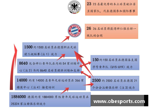 足球运动员学历：打造成功职业生涯的必备基石